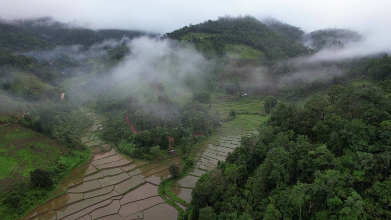 泰国北部大雾天，无人机鸟瞰梯田和山景视频素材