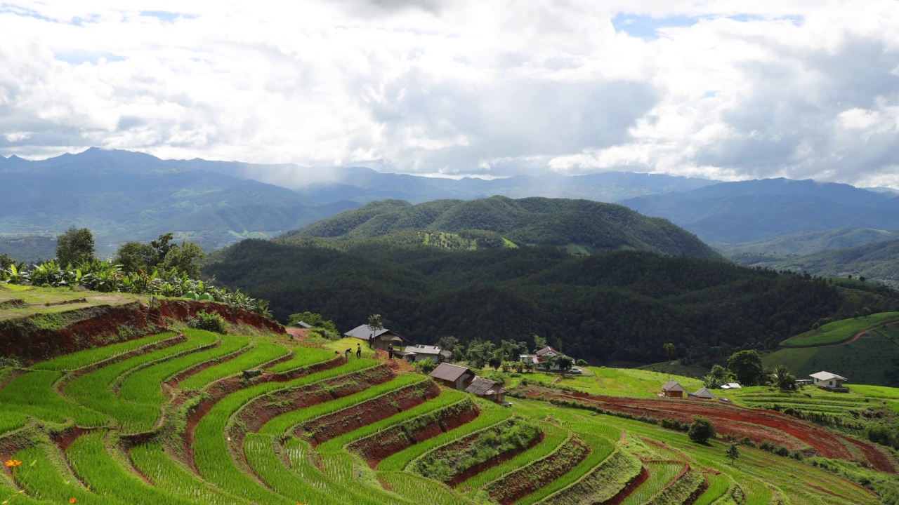 大米山视频素材