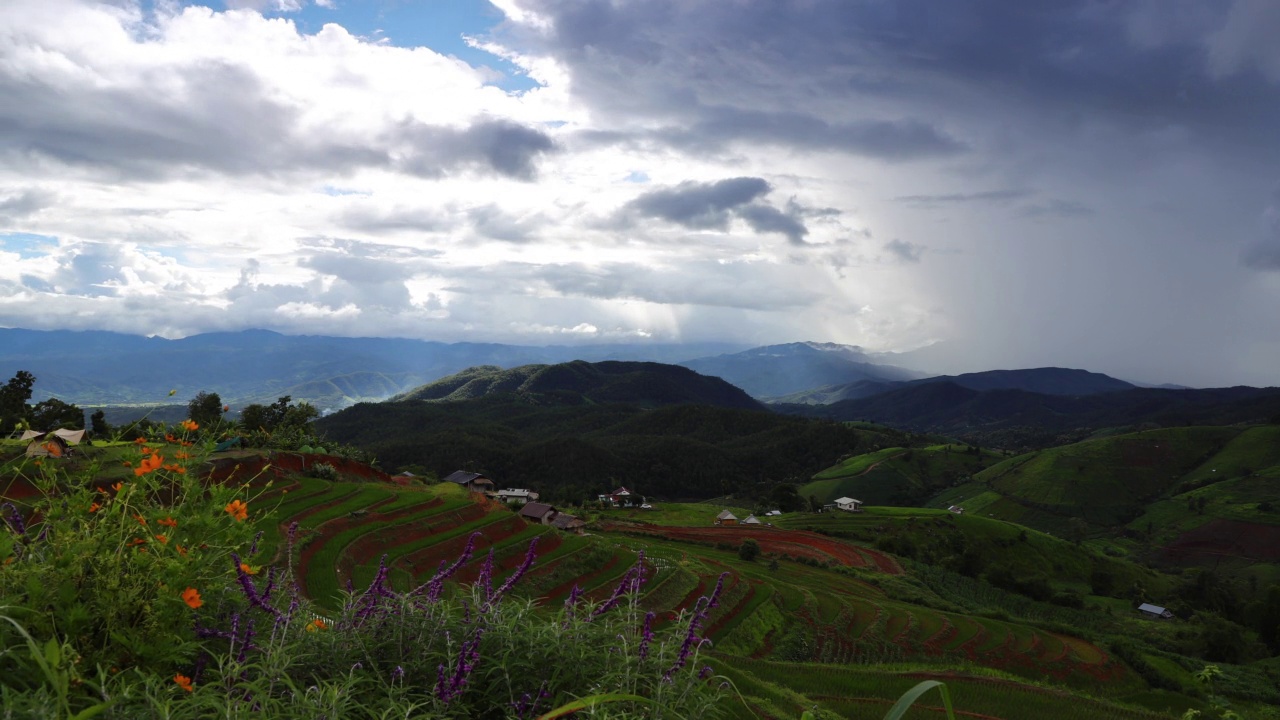 大米山视频素材