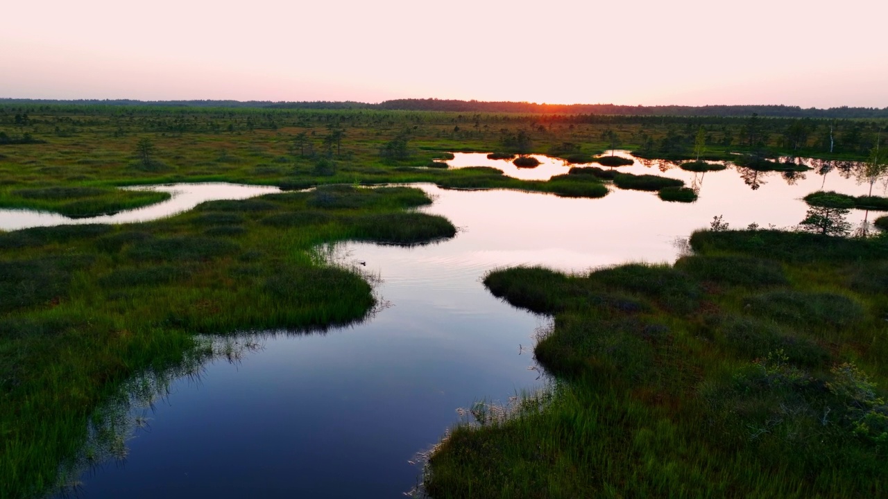 叶尔尼亚沼泽上的夕阳景观。白俄罗斯的野泥潭。视频素材