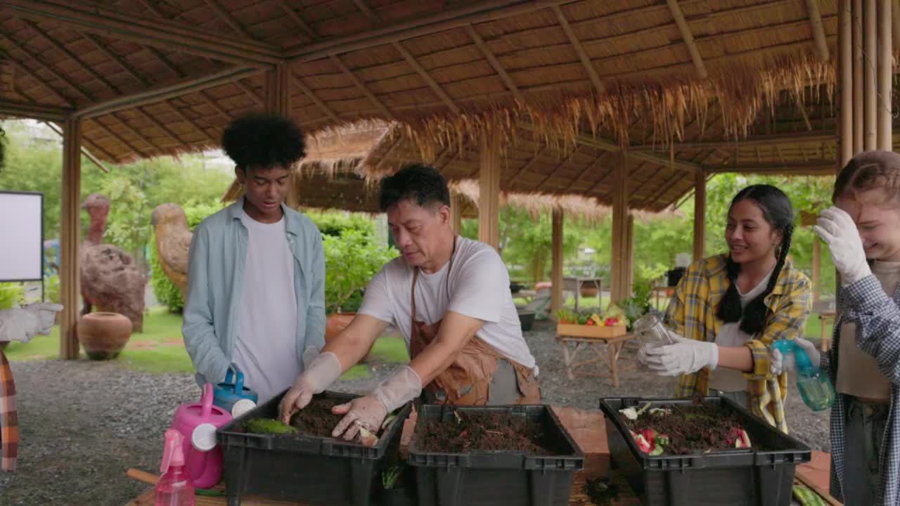 儿童组的女孩和男孩学习环境不同，对植物一条蚯蚓和微笑视频素材