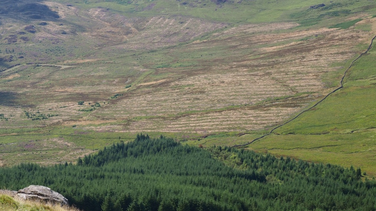 英国湖区Harter Fell的Duddon山谷，原针叶树种植园被清除，以允许本地再生。视频素材