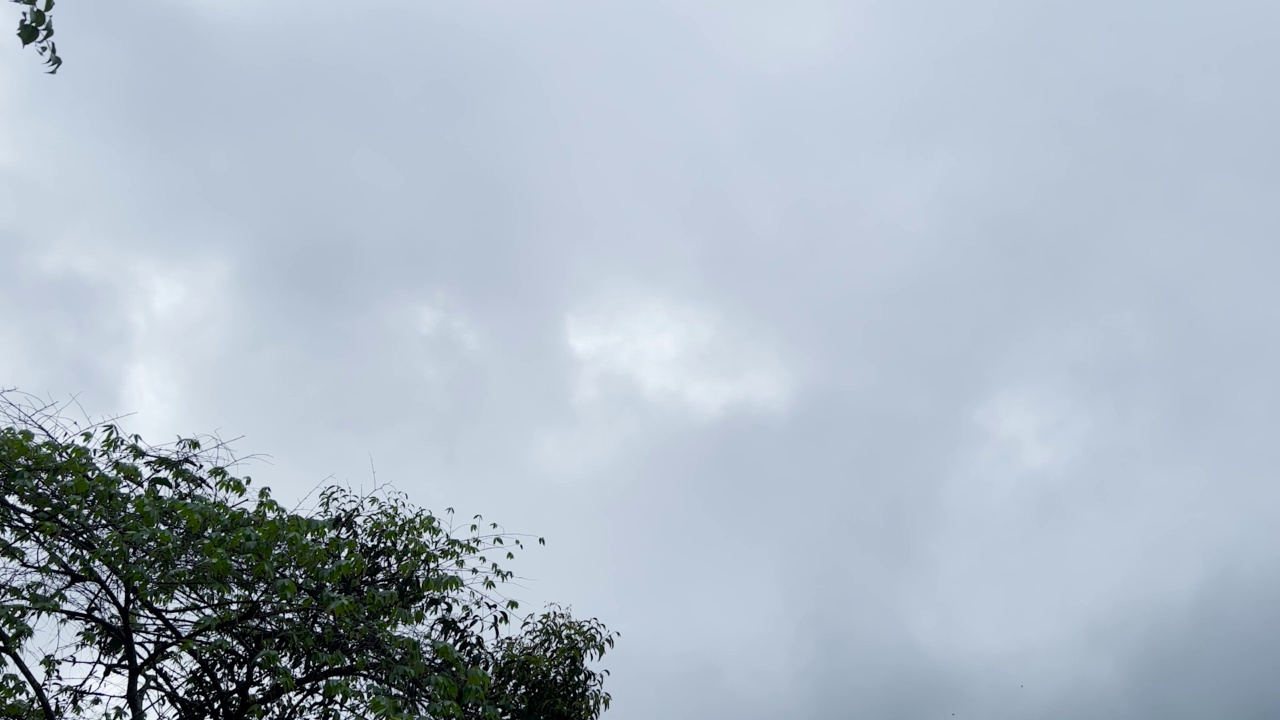 雨前湖的全景。视频下载