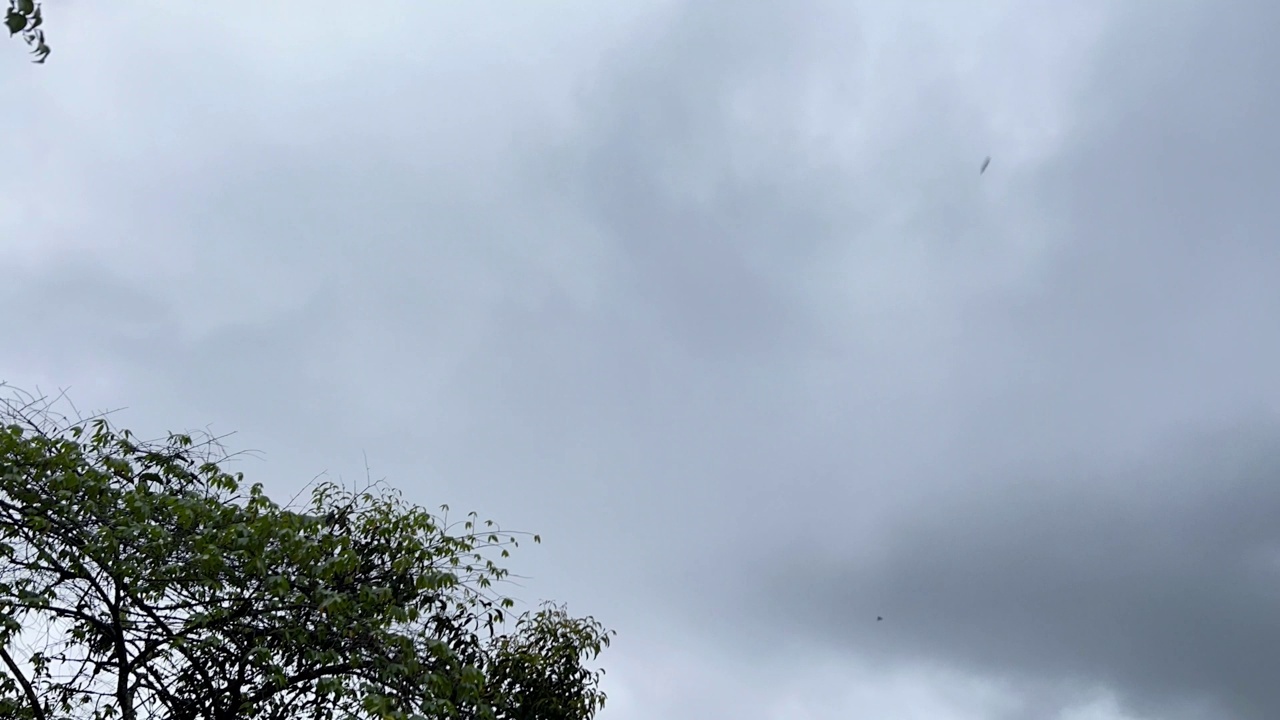 下雨前湖的全景图。视频下载