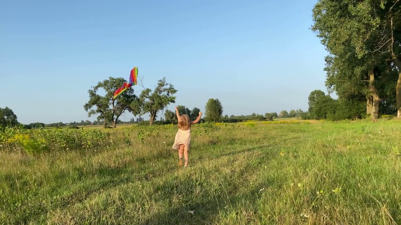 一家人带着两个孩子在大自然的夕阳下度过闲暇时光视频素材