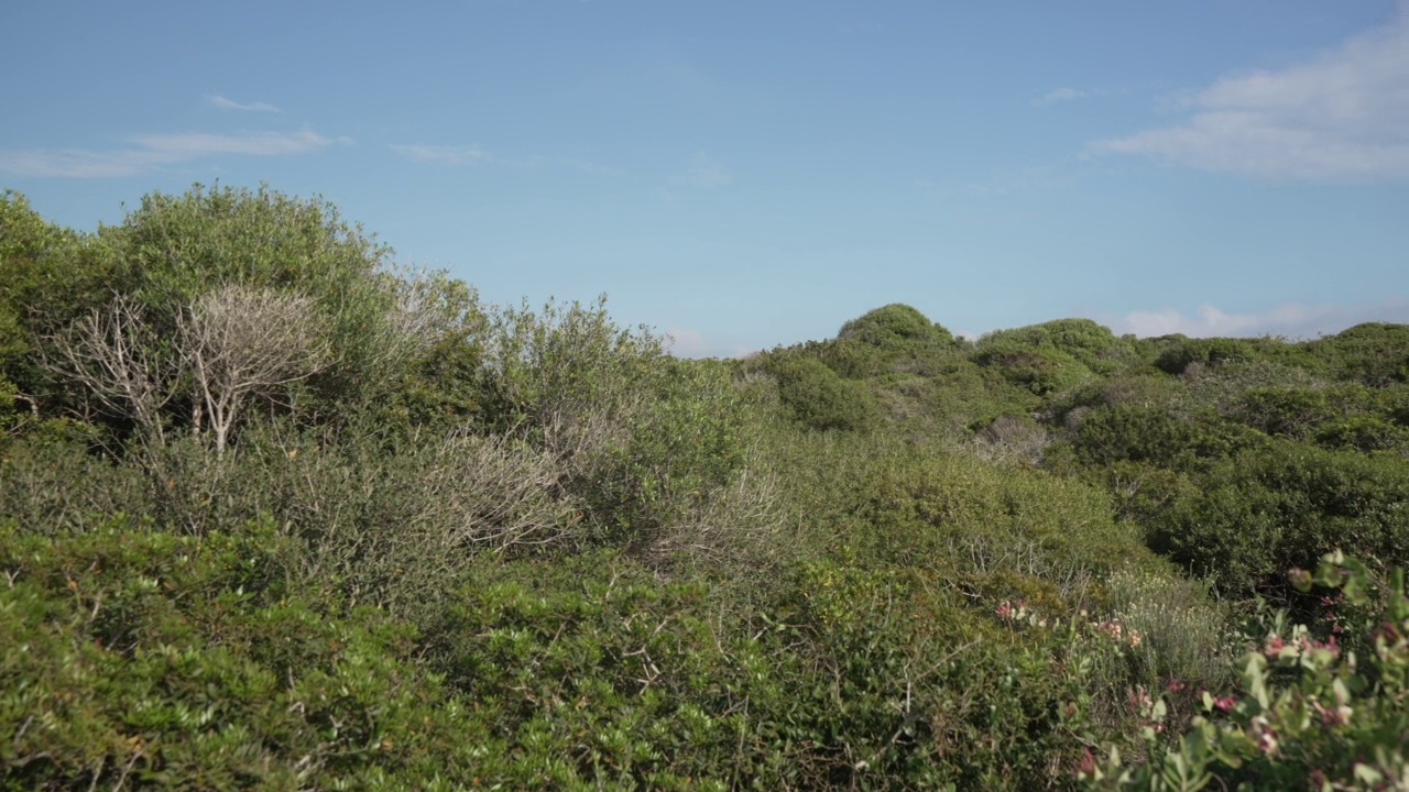 Torre de Son Ganxo，城堡，蓬塔普利马，梅诺卡，巴利阿里群岛，西班牙，地中海，欧洲视频素材