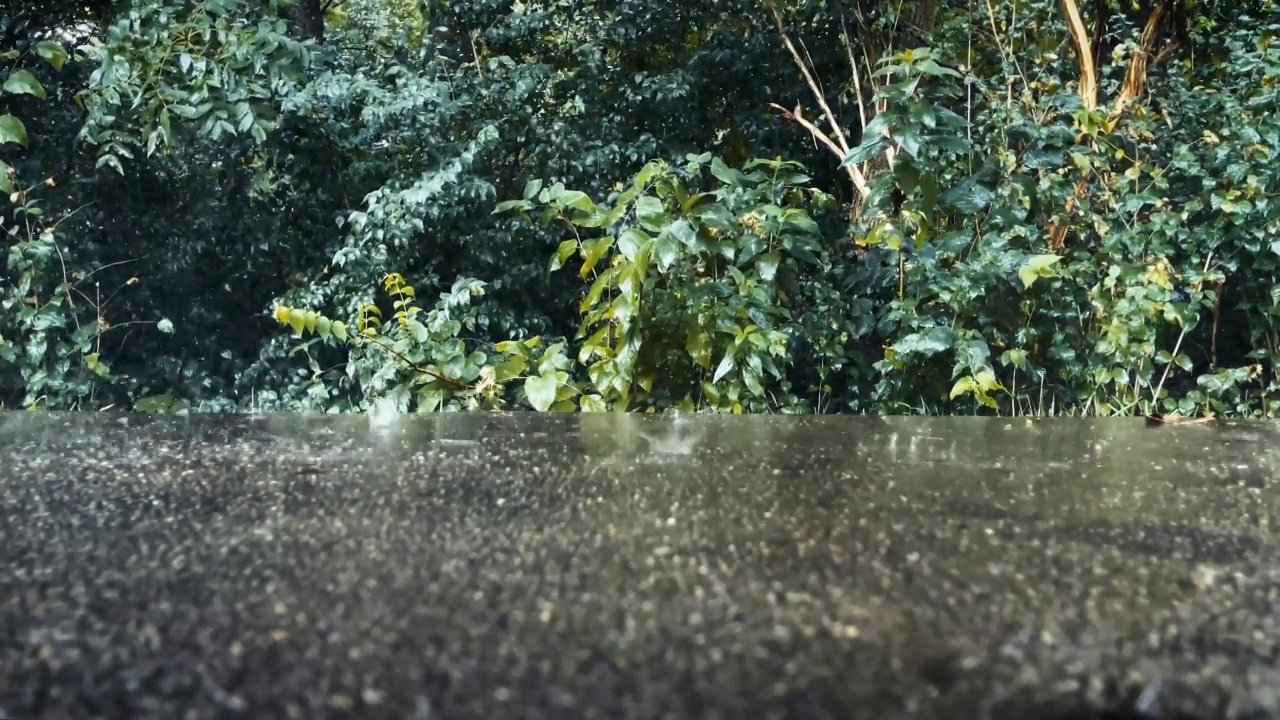 暴风雨时在屋顶下躲雨，风吹着树林里的树视频素材