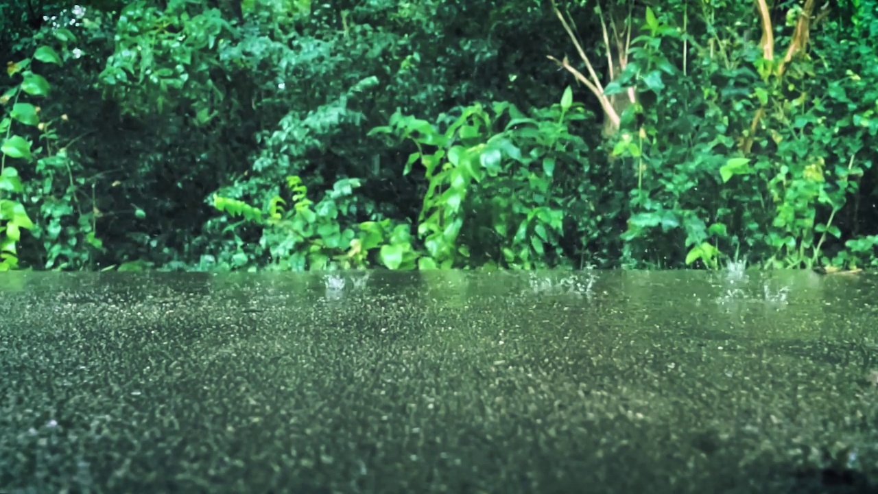 雨点缓缓地落在树叶和灌木前的混凝土表面视频素材