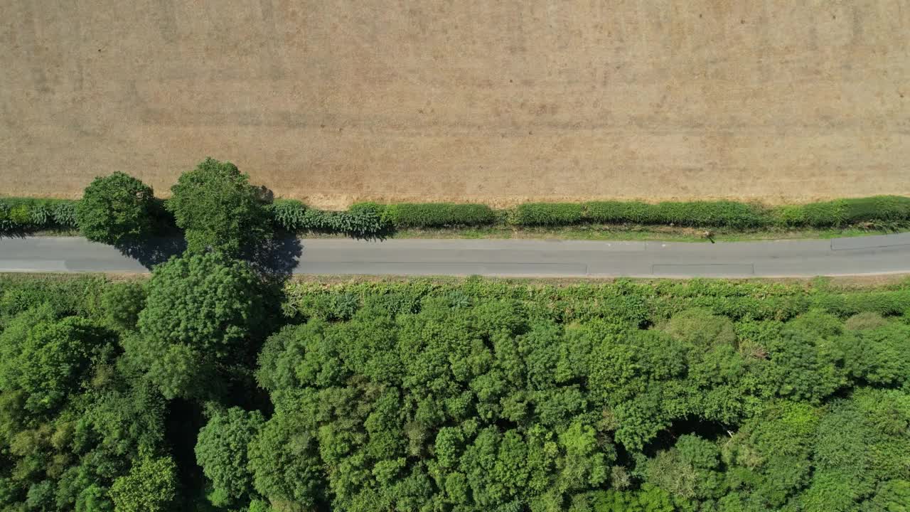 林地和乡村路视频素材