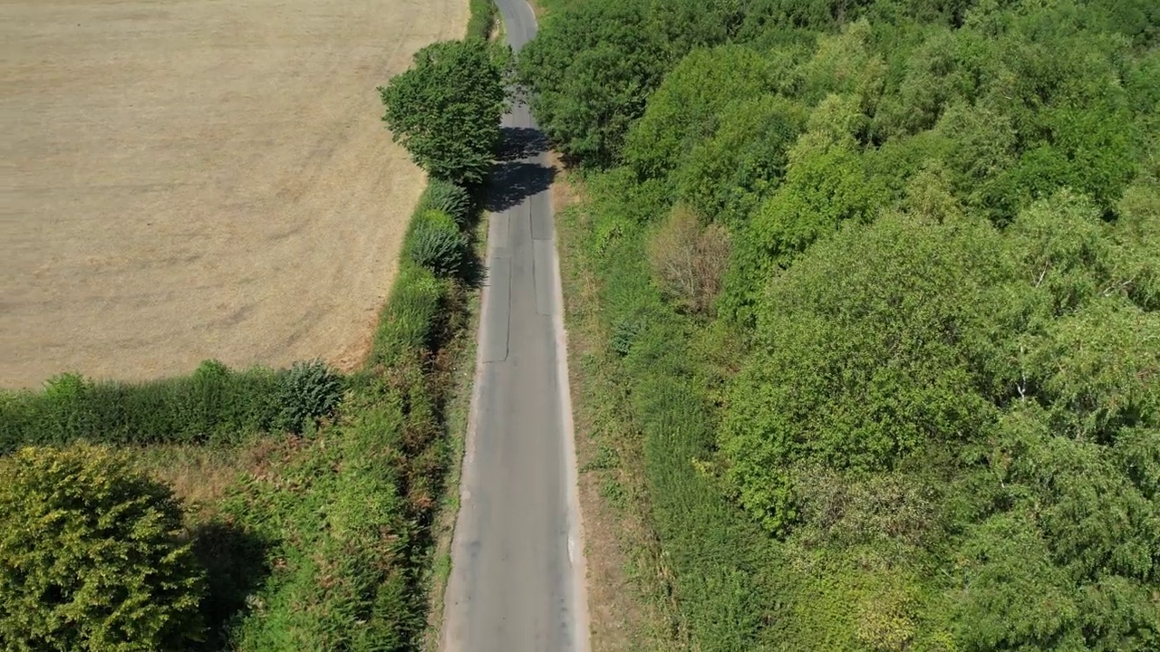 林地和乡村路6号视频素材