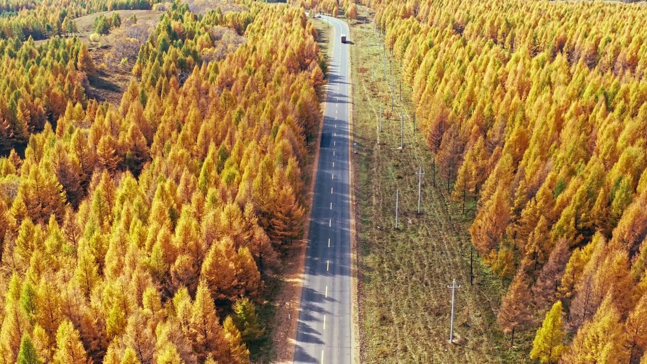 空中拍摄的秋天五彩缤纷的森林和道路风景视频素材