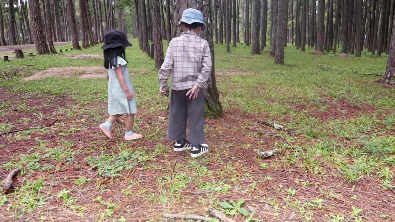 男孩和女孩走在森林里视频素材