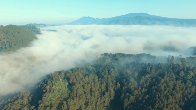 鸟瞰图视频素材