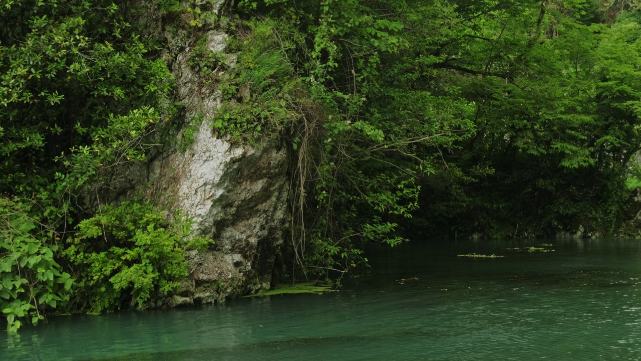 水下淡水湖河视频素材