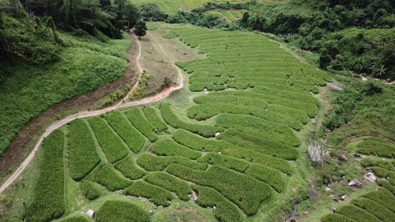 泰国清莱省南莱区利海村梯田的鸟瞰图。视频素材