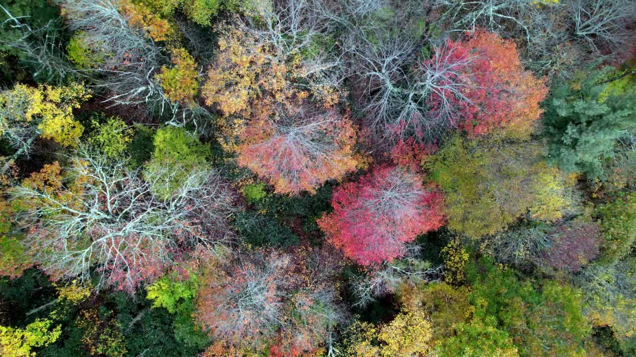 秋天的颜色和云彩在蓝蓝的岭山空中视频素材