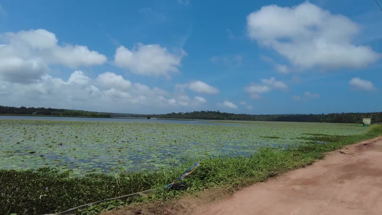 喀拉拉邦Thiruvananthapuram Punchakkari湿地和农田，生物多样性和鸟类观察区视频素材