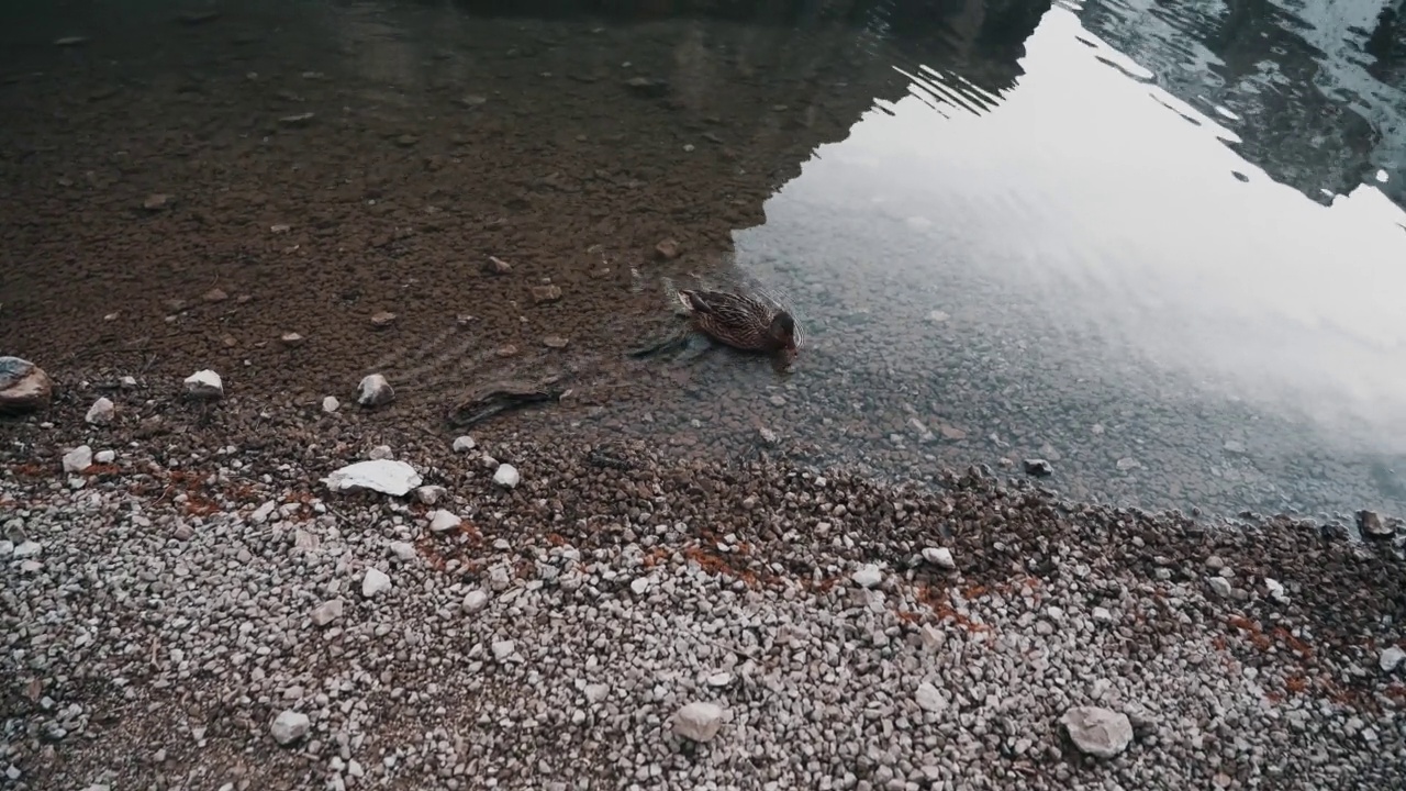 Lago di Braies带4k反射视频素材