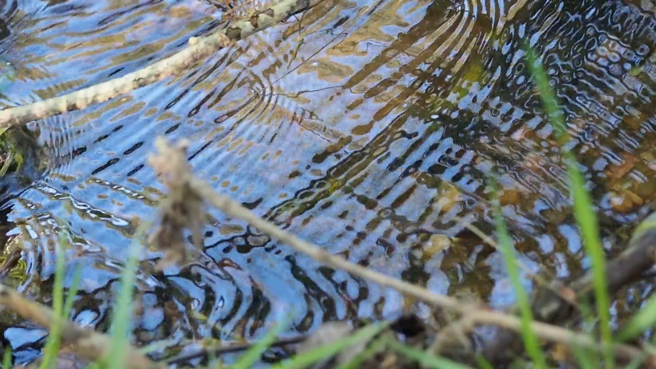 秋天的田野里流淌着天然的水。降雨的概念。高质量的全高清镜头视频素材