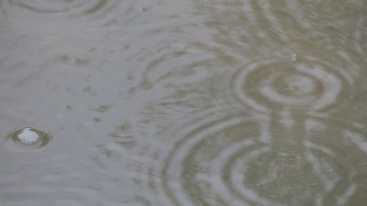 水滴在水坑里，形成泡沫。秋天的概念。高质量的全高清镜头视频素材