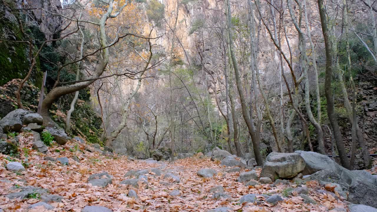 美丽的自然风光，视频下载