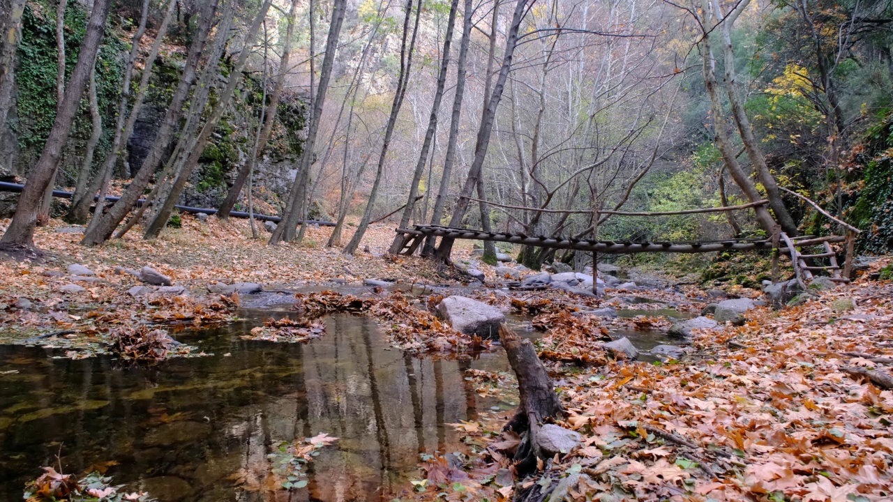 宁静的秋景视频素材