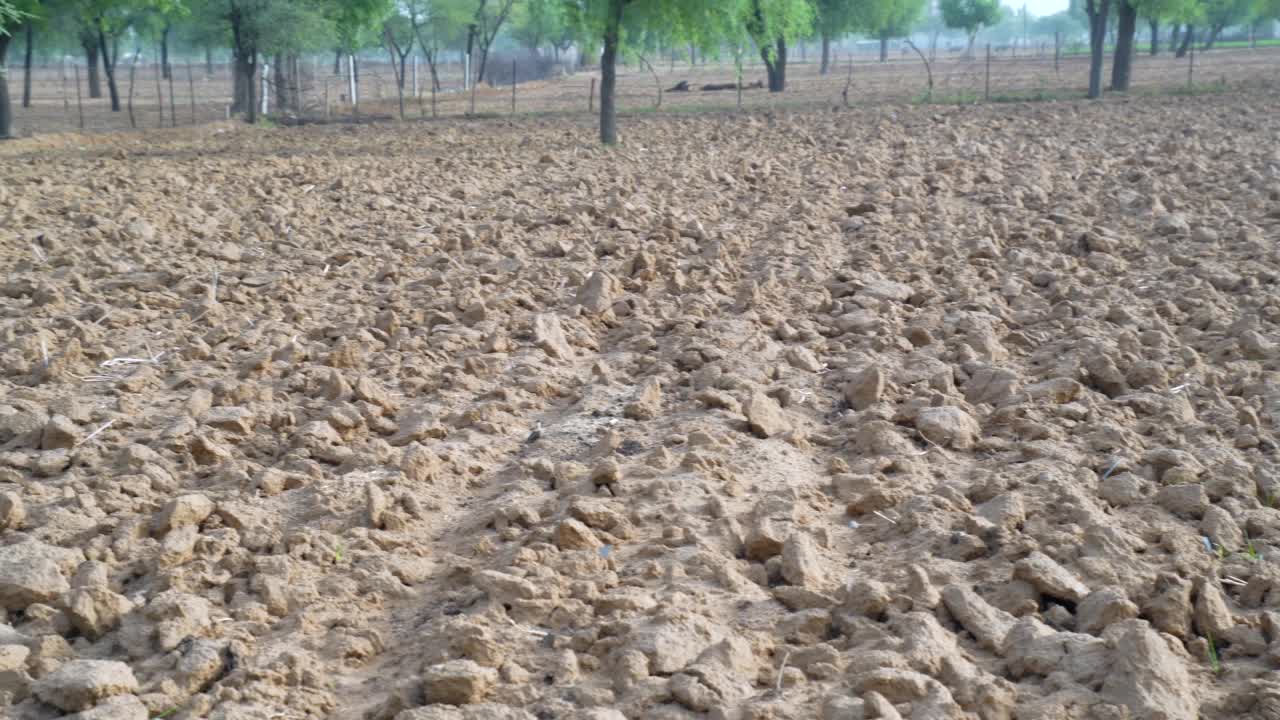 种植前的一排排土壤。犁过的土地上的犁沟，为春天种植作物做准备。视频素材