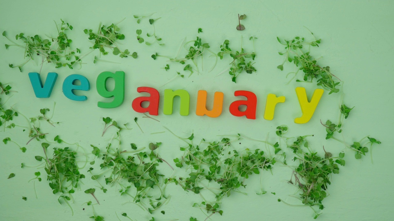 一月的素食月叫做Veganuary。平躺视频素材