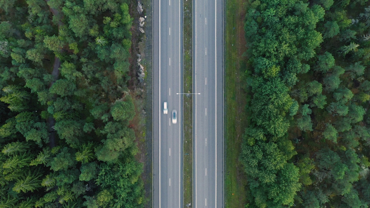 公路交通穿过森林视频素材