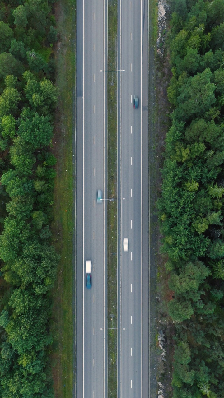 穿过森林的笔直道路视频素材