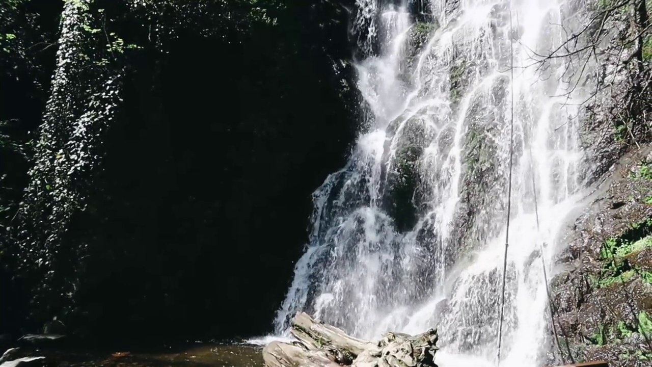 瀑布在山中在林中，流水倾泻在石头上。视频素材