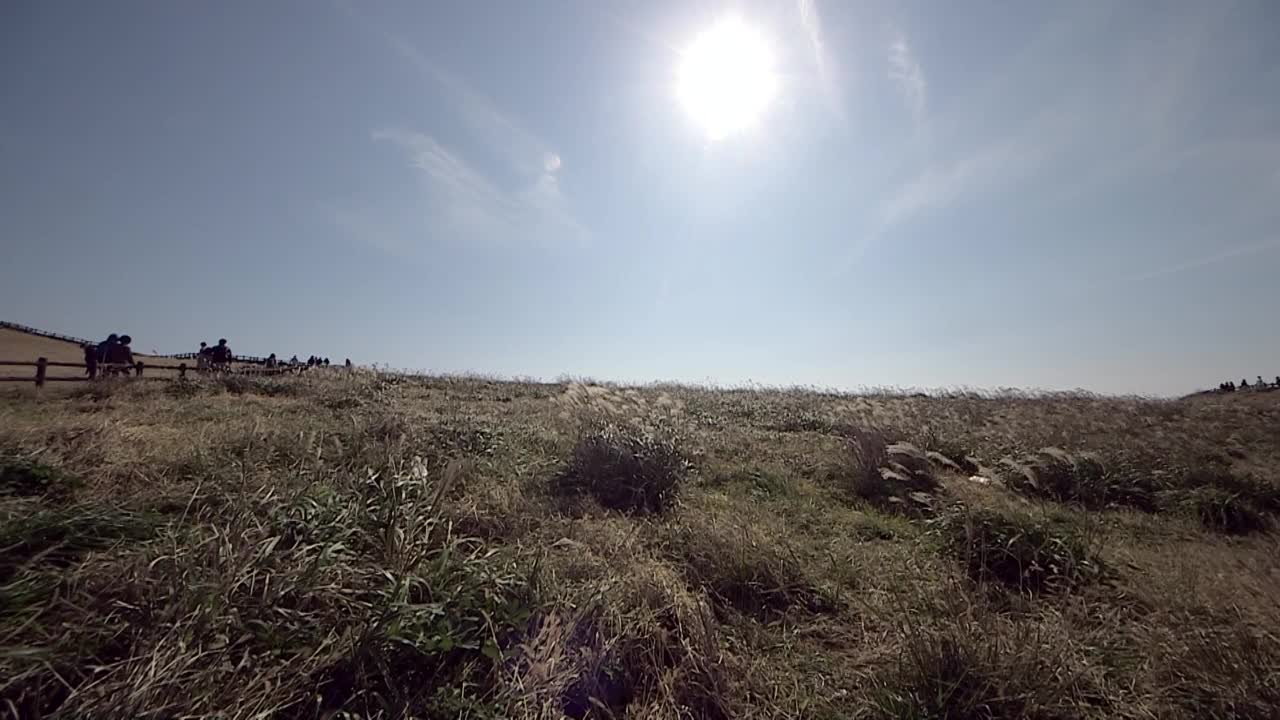 Olle小径和天空的自然/济州岛，韩国视频素材