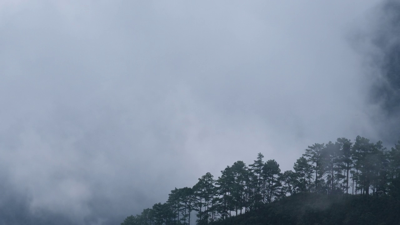 清晨热带山脉上雾海的鸟瞰图。泰国的层峦叠嶂。动态的自然景观背景。视频素材