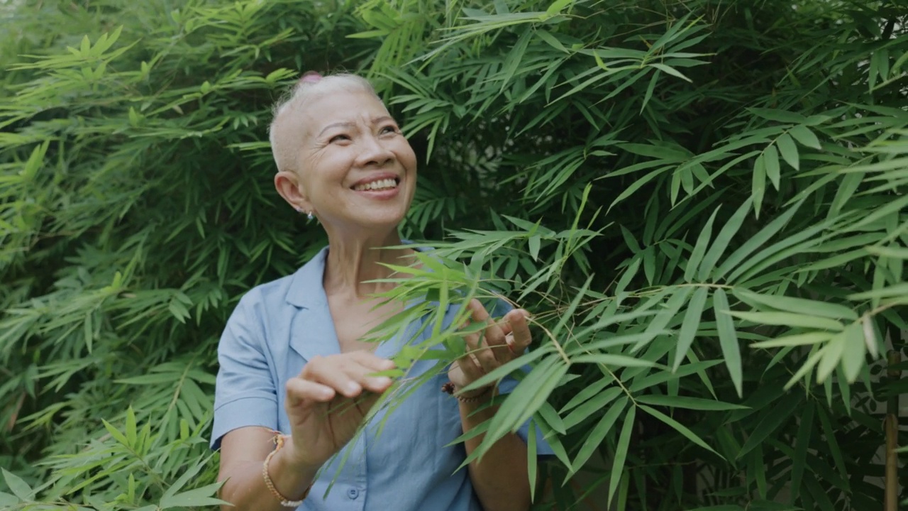 时髦的高级妇女高兴地在户外树区旅行视频素材