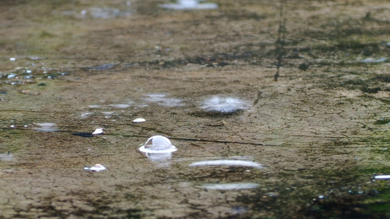 雨正落在地上视频素材