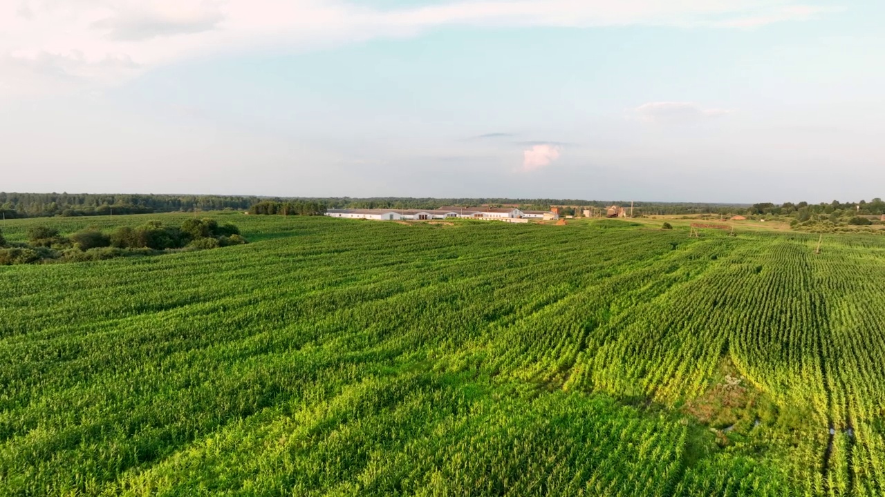 夕阳下的农场建筑。视频素材