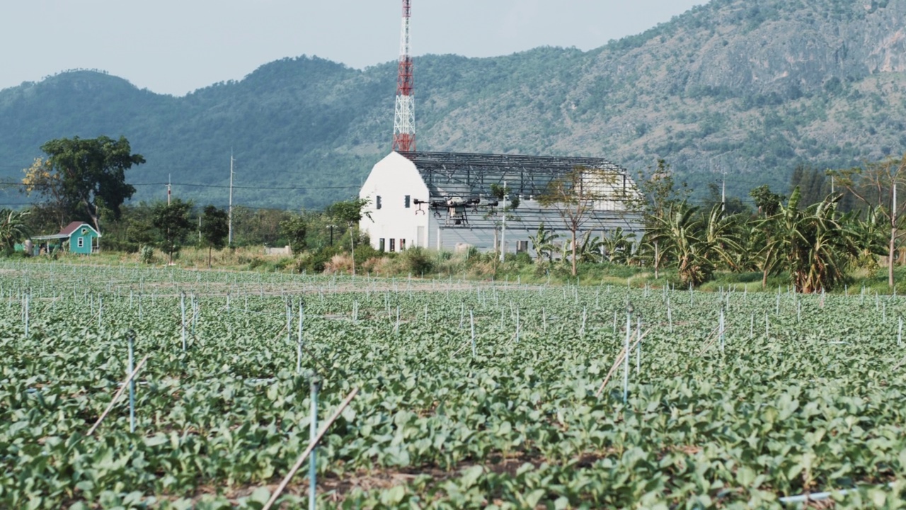 农业无人机飞到田野上喷洒肥料视频素材