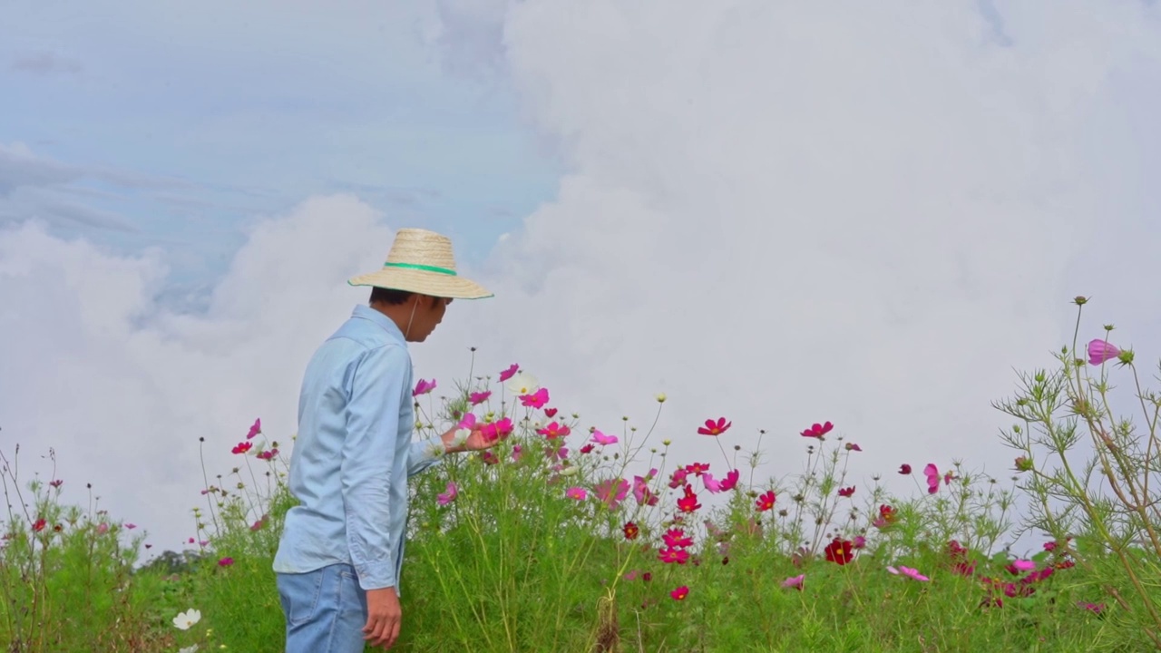 园丁和鲜花视频下载