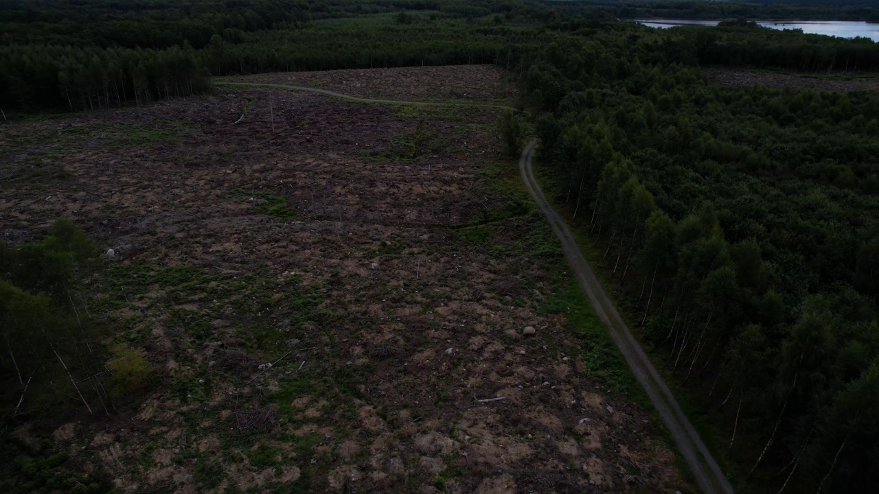 风景鸟瞰汽车在道路上的瑞典农村stock无人机视频，森林地区视频下载