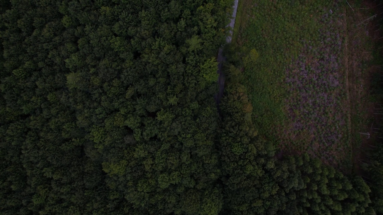 公路穿越瑞典南部森林，古松林，单车道公路。无人机的画面。视频素材