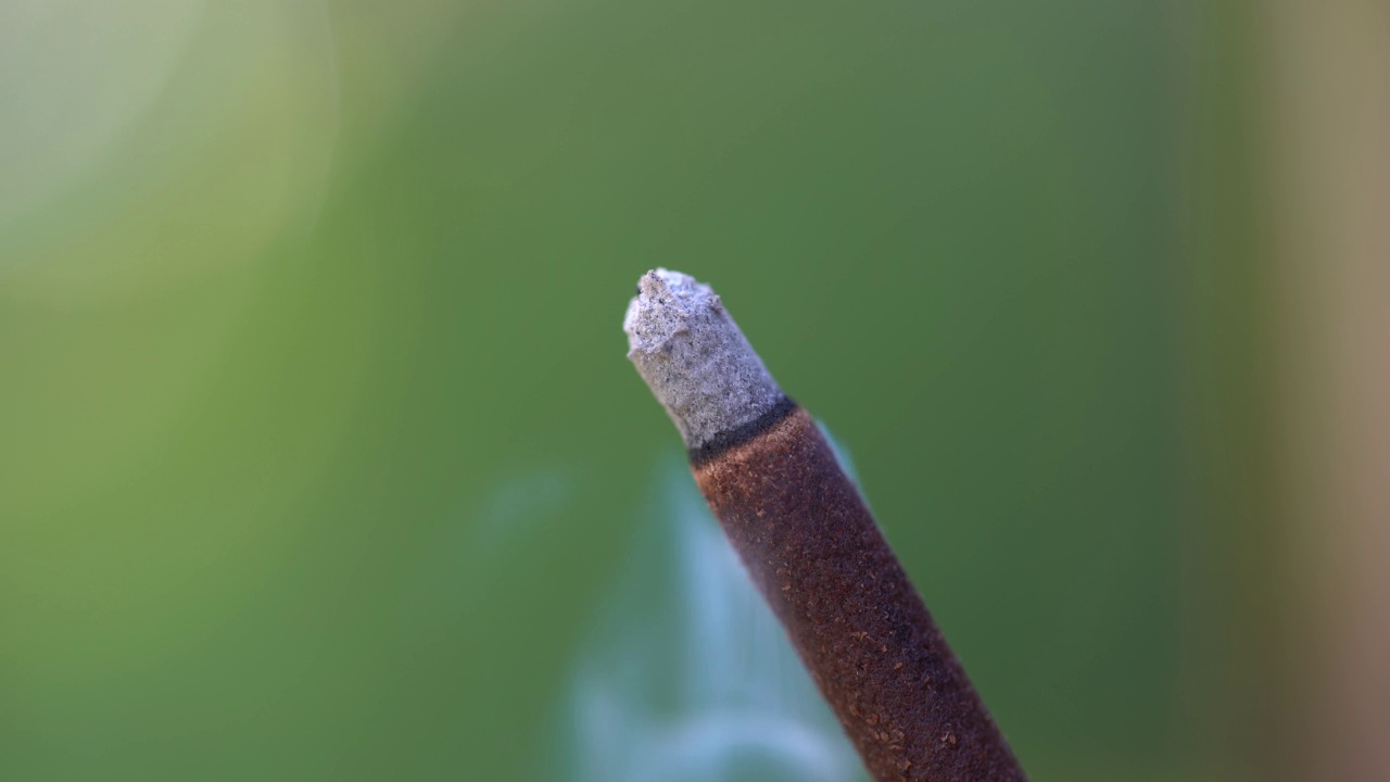 香炉燃烧与烟，特写。巴厘岛，乌布，印度尼西亚视频素材