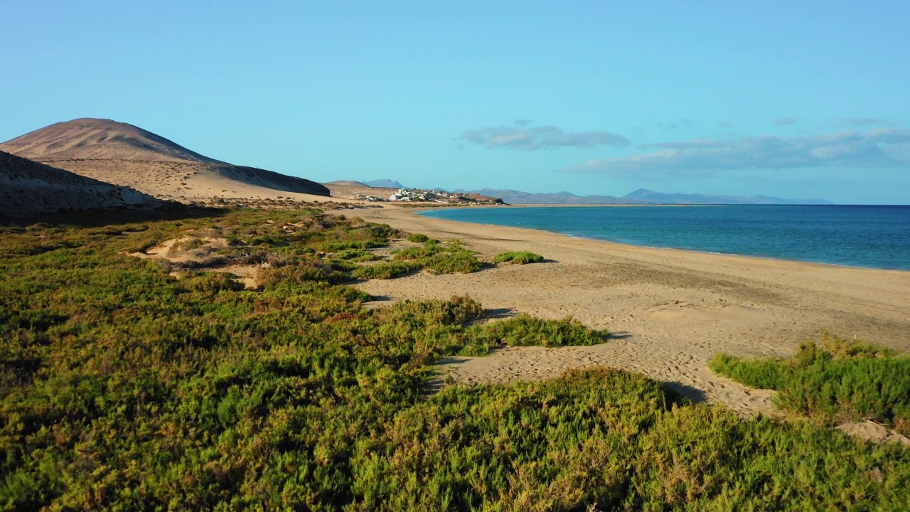 Jandia半岛，Playas de Sotavento, Fuerteventura，加那利群岛，西班牙，大西洋，欧洲。度假小镇Costa Calma。美丽的碧蓝海水和白沙。天线。绿色植被。视频素材