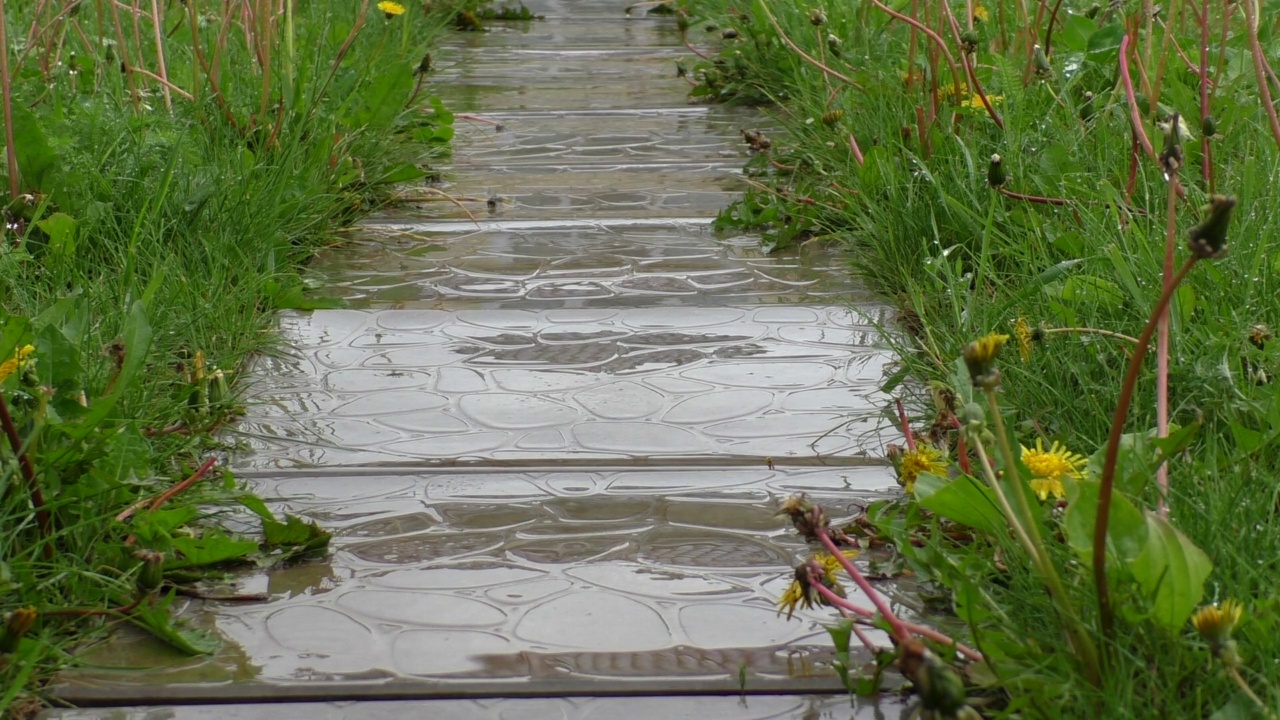 下雨天的小路视频下载