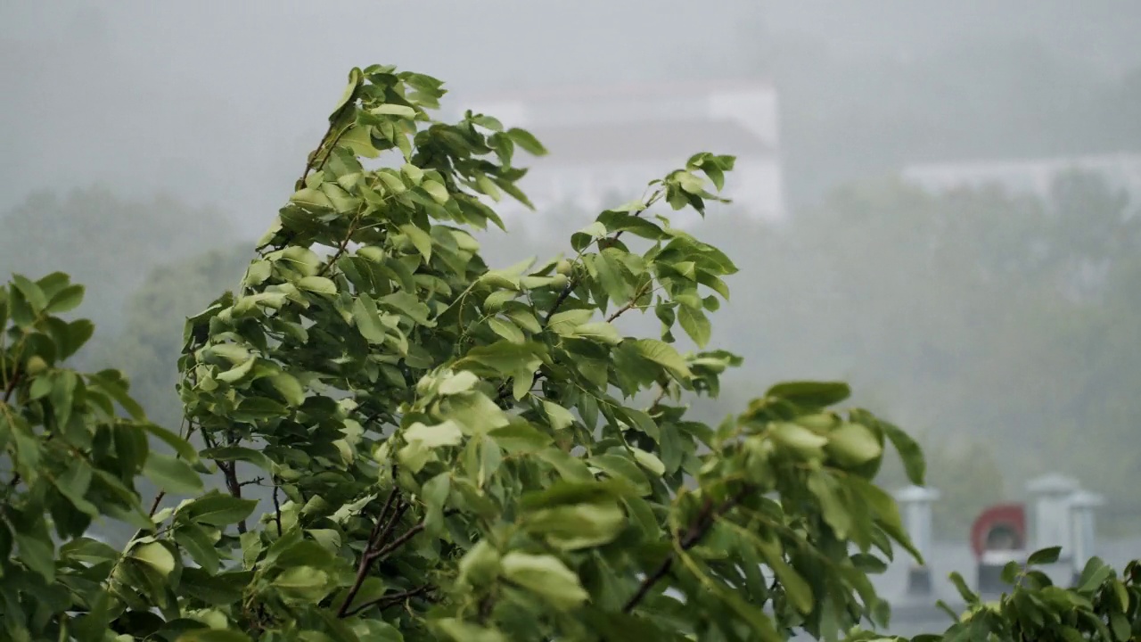 市区住宅街道暴雨伴冰雹视频素材