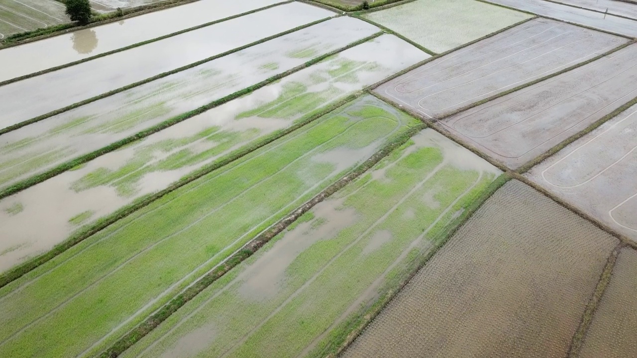 泰国农村暴雨后稻田被淹的鸟瞰图。视频素材