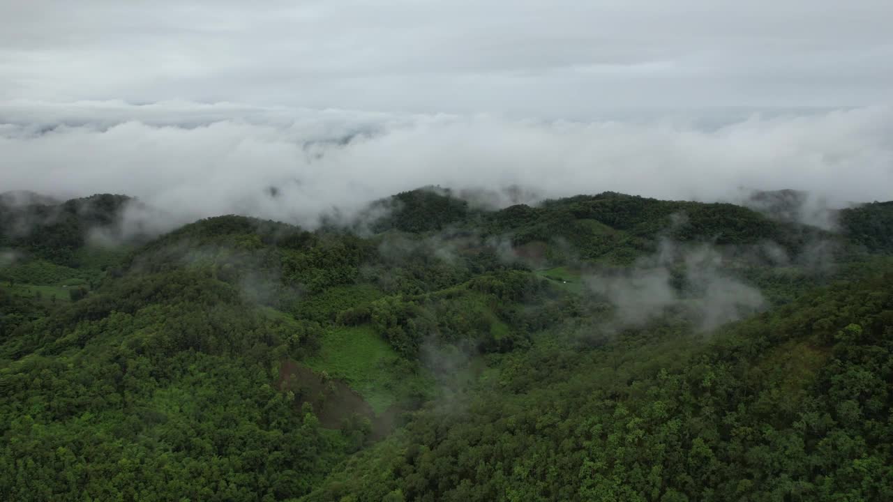 无人机航拍的绿色雨林和山峦与雾海景观视频素材