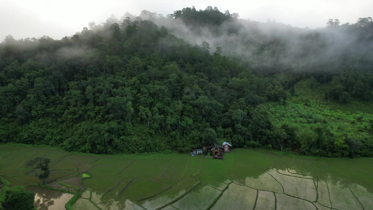 无人机鸟瞰泰国北部雾天的梯田田地和木屋山景视频素材