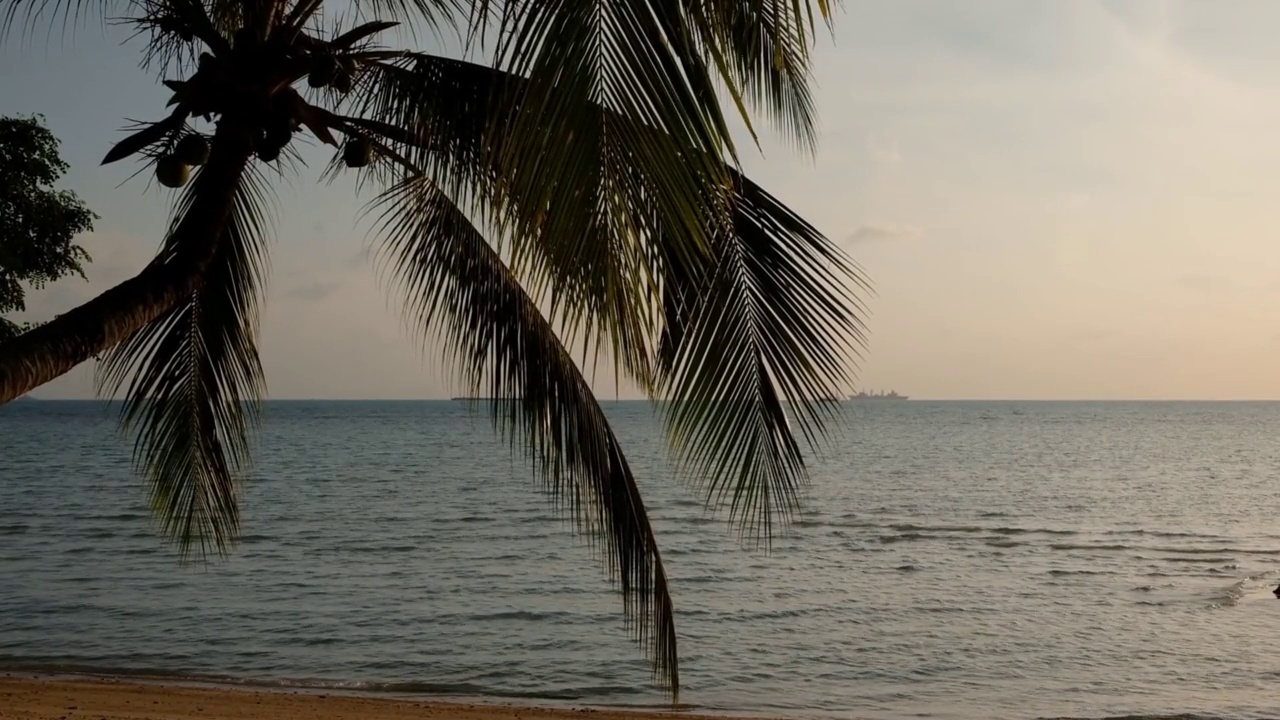 海上红色的日落。棕榈树的剪影在前景。红色的天空，粉红色的太阳和迷人的大海。夏日夕阳海景。热带海洋海滩日落。神奇的自然阳光。视频素材