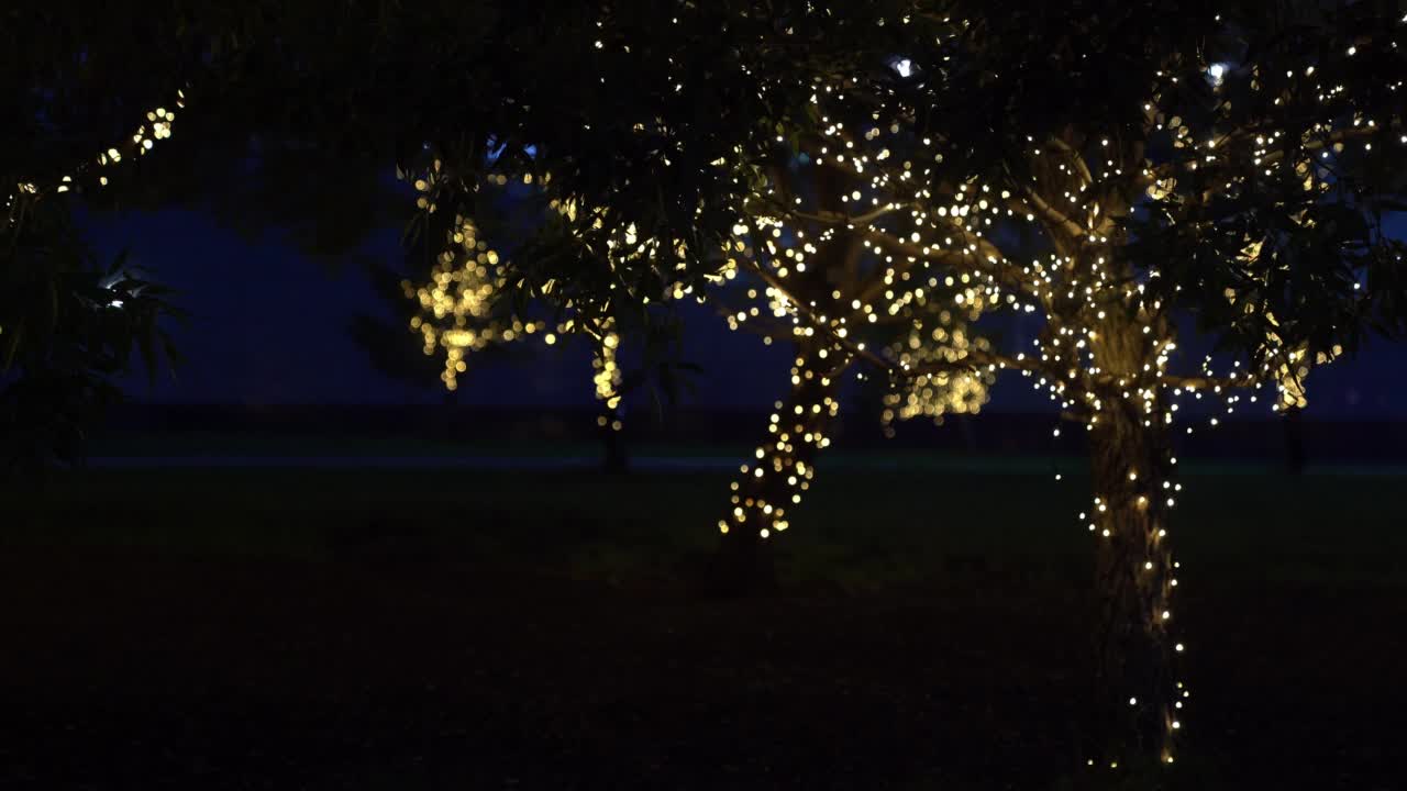 照明节日灯在花园与电花环，温暖的灯泡发光与圆散景在晚上，照亮了露天公园的夜街。视频素材