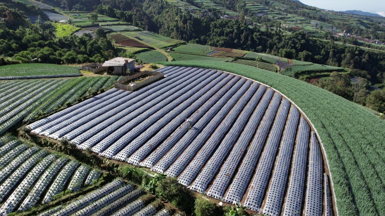 农民们用美丽的梯田为地里的植物浇水视频素材